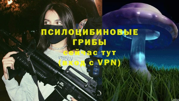 бутират Алексеевка
