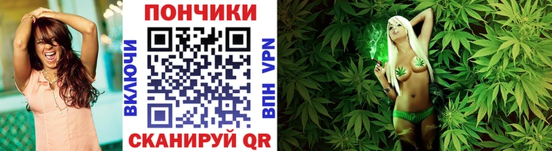 Шишки марихуана THC 21%  Заозёрный 